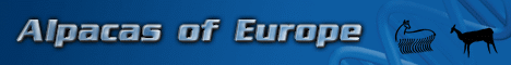 Click here to go to Alpacas-of-Europe.com